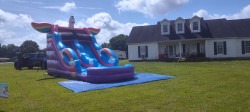 IMG 20250614 102827225 HDR 1758565003 Unicorn Waterslide