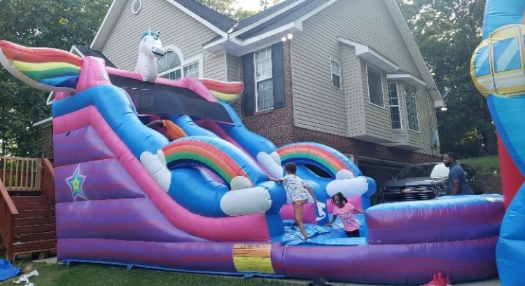 Unicorn Waterslide
